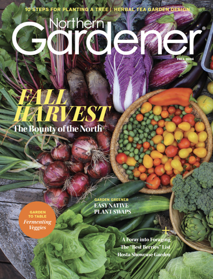 Northern Gardener
