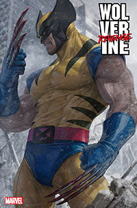 Wolverine Comic Series