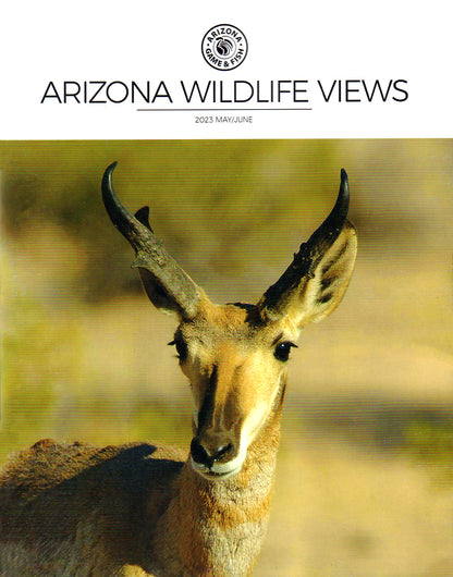 Arizona Wildlife Views