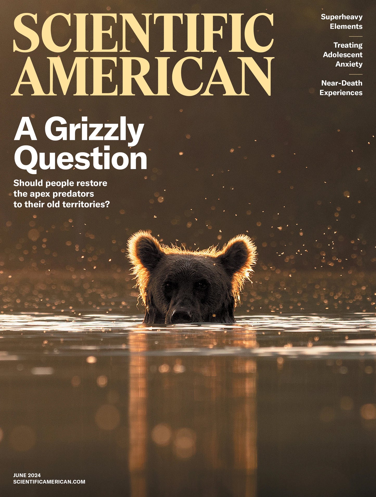 Scientific American