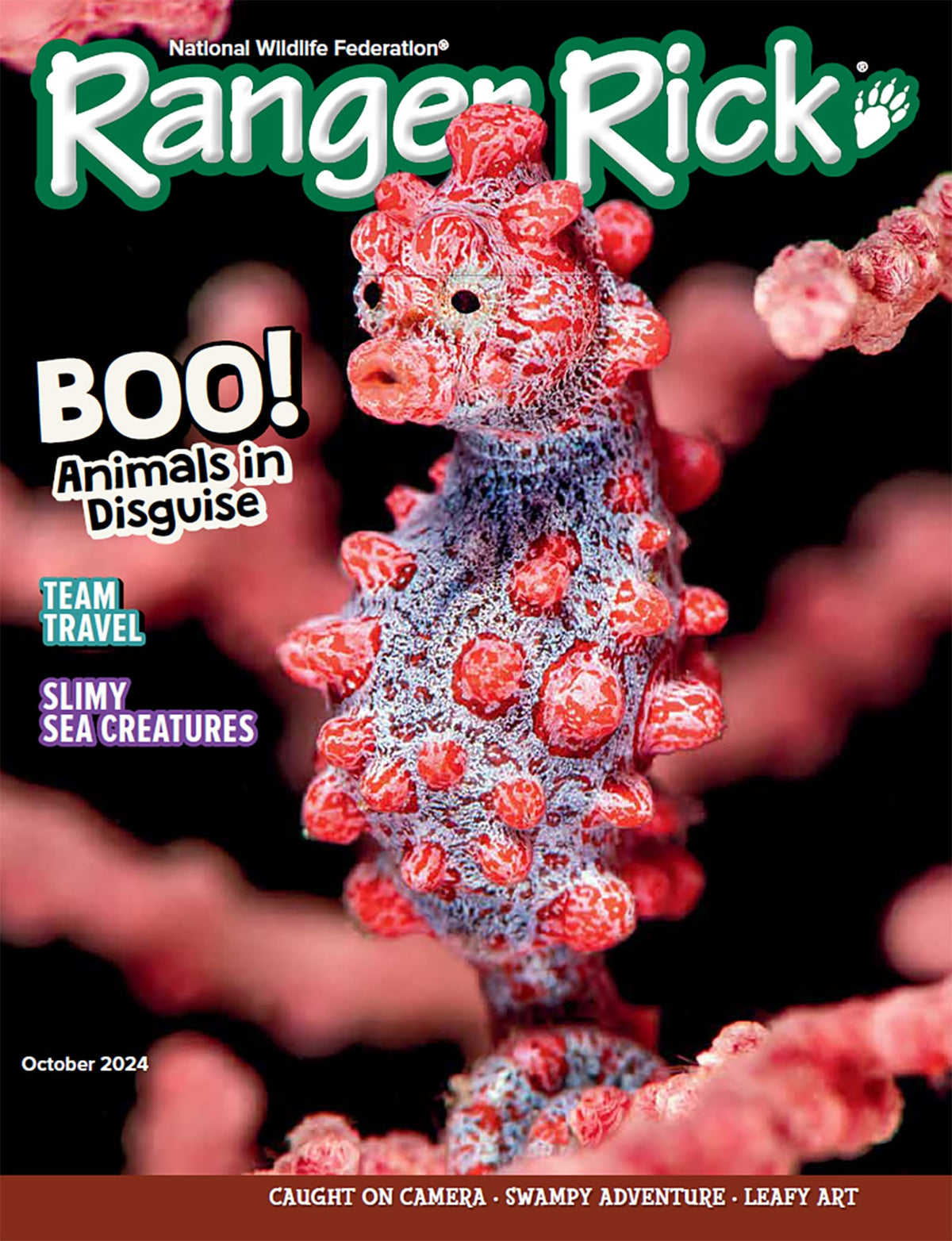 Ranger Rick Magazine Example Ranger Rick Magazine Subscription – Total Magazines