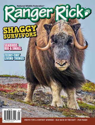 Ranger Rick