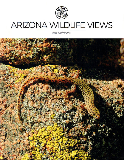 Arizona Wildlife Views