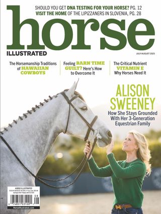 Horse Illustrated