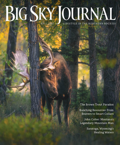 Big Sky Journal