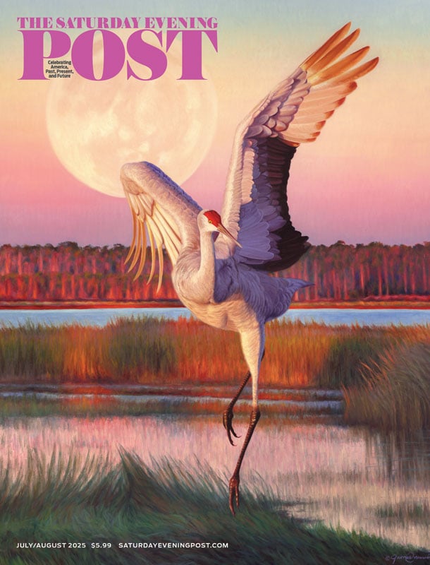 The Saturday Evening Post