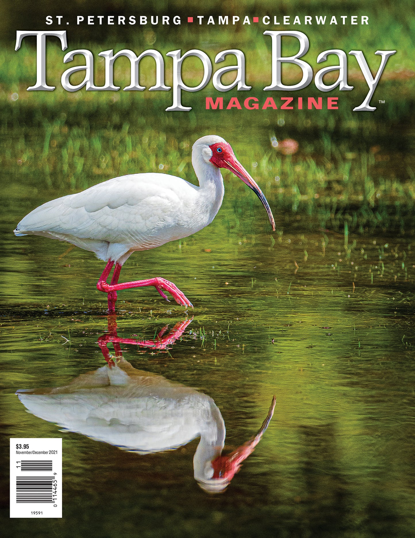 Tampa Bay Magazine