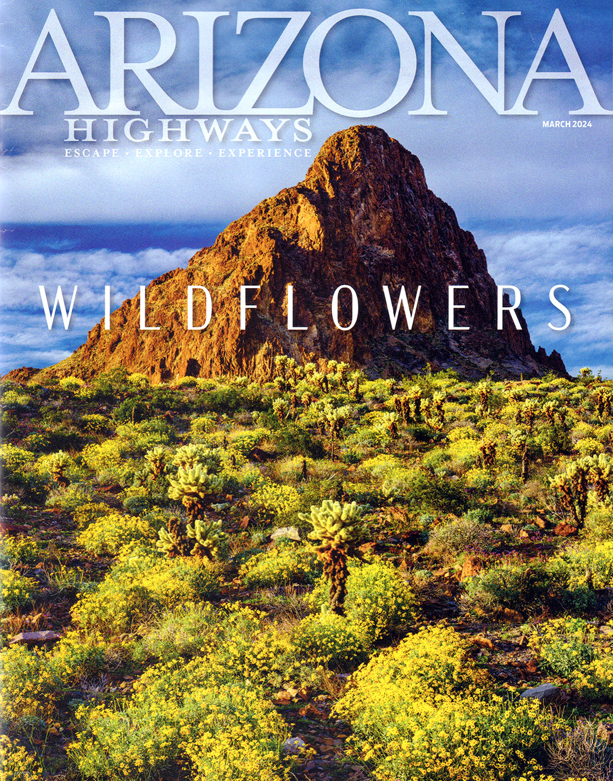 Arizona Highways インディアンジュエリー特集 洋書 ロロマ ホピ