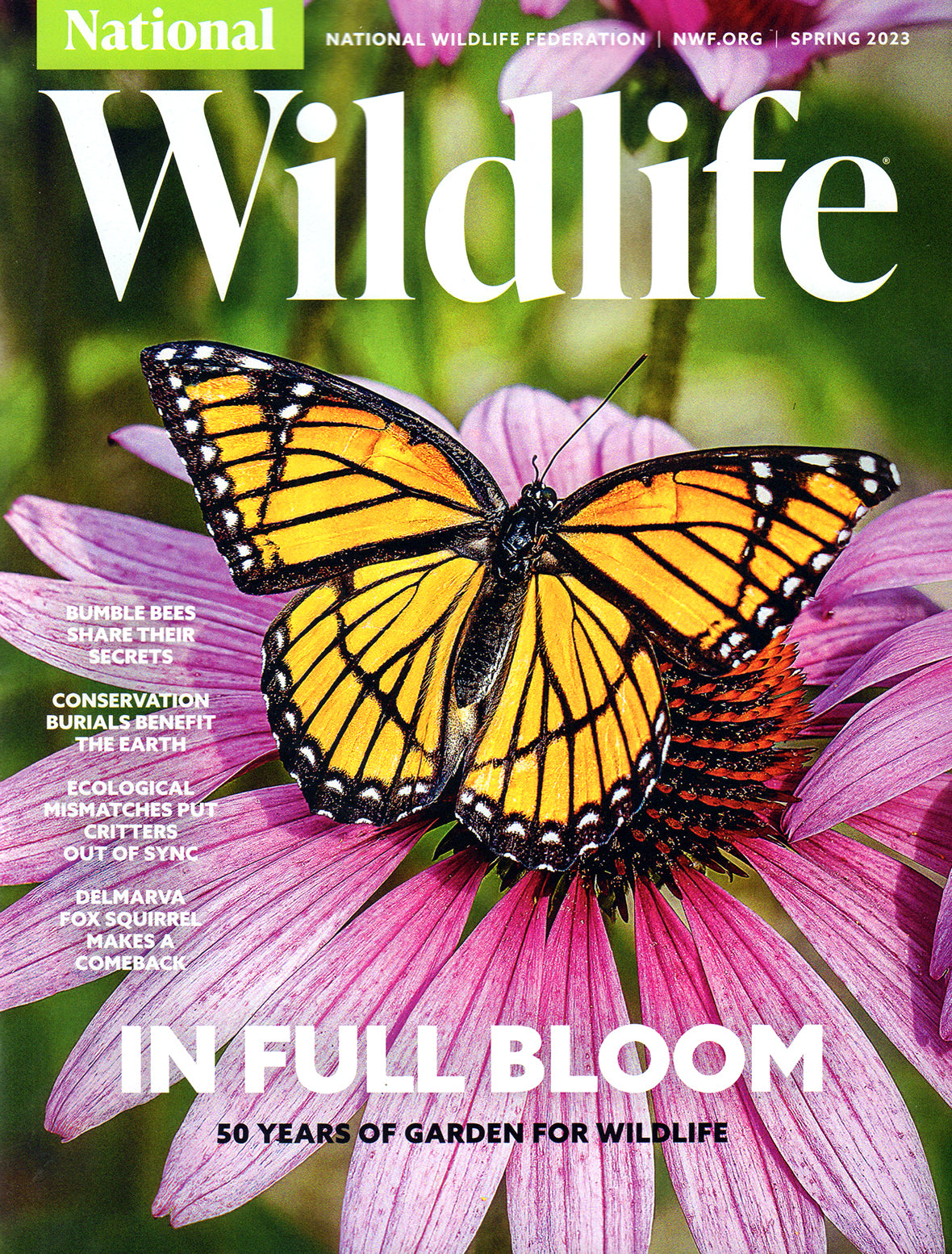 National Wildlife Magazine