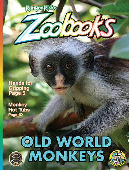 Zoobooks