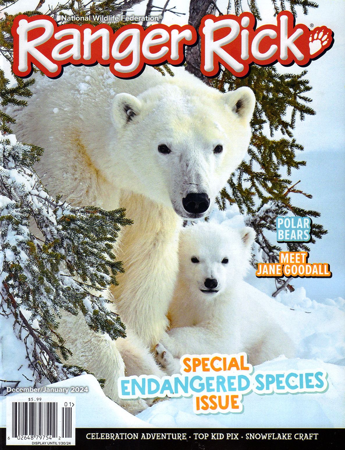 Ranger Rick Magazine Subscription Total Magazines