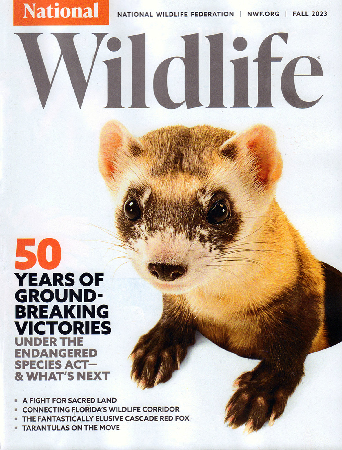 National Wildlife Magazine