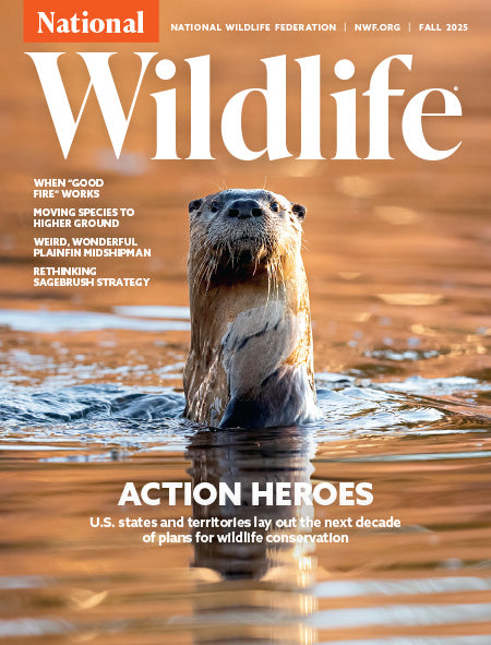National Wildlife Magazine