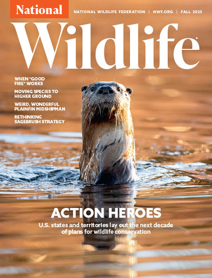 National Wildlife Magazine