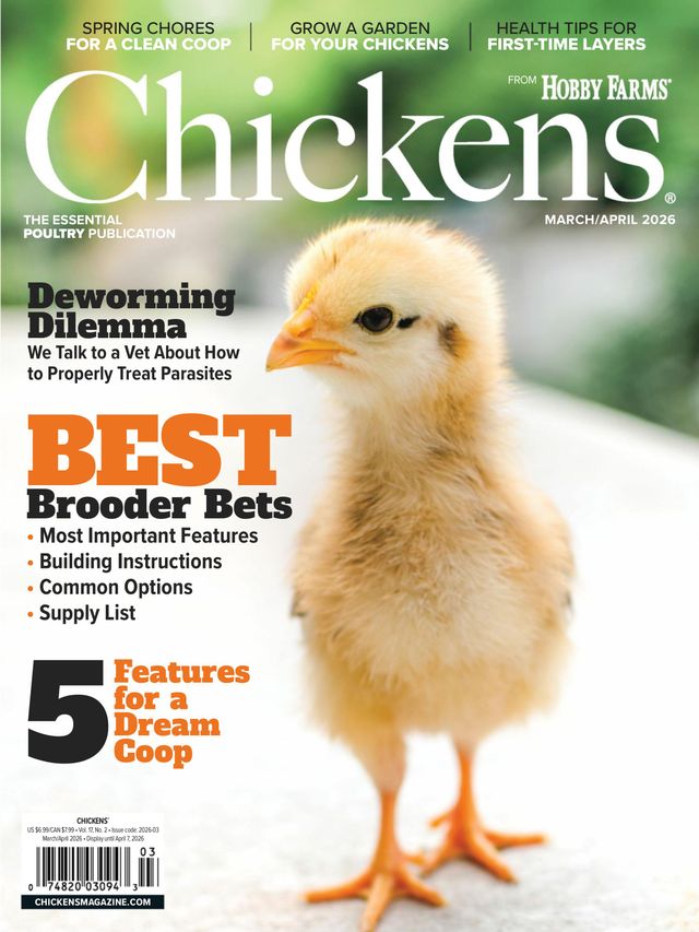 Chickens Magazine