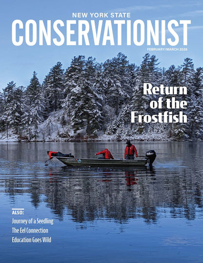 Conservationist