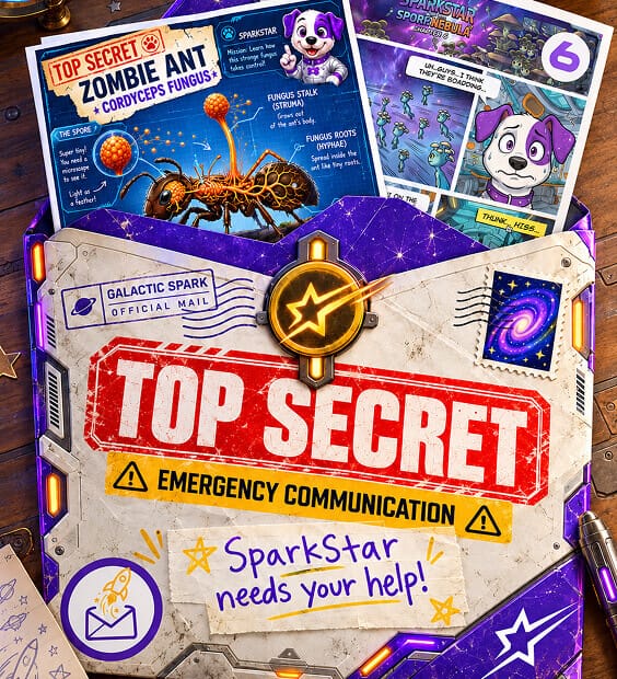 SparkStar’s MailVenture