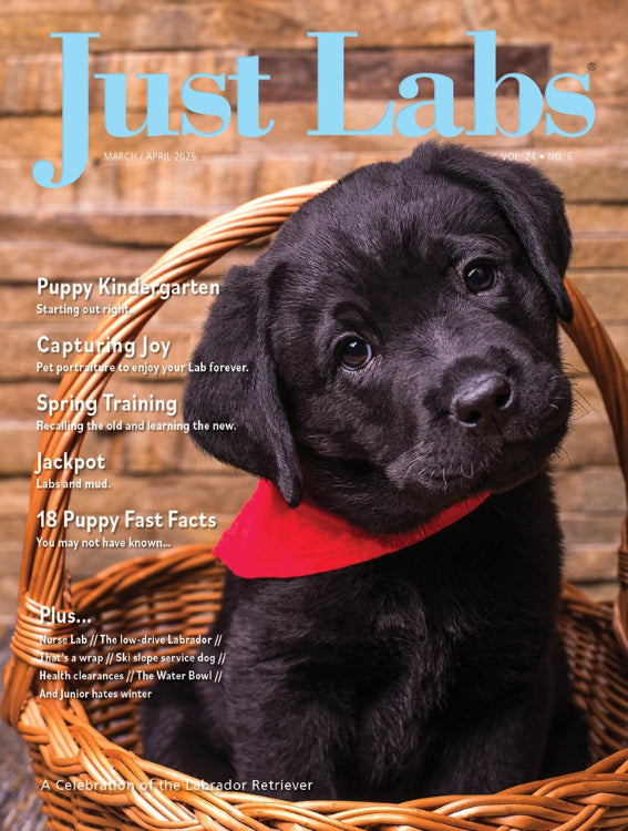 Just Labs
