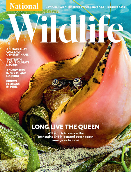 National Wildlife Magazine