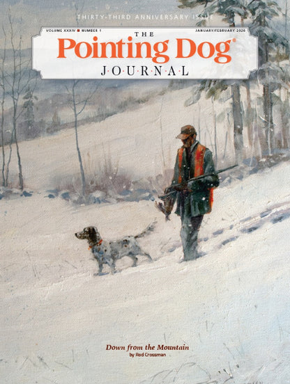 The Pointing Dog Journal