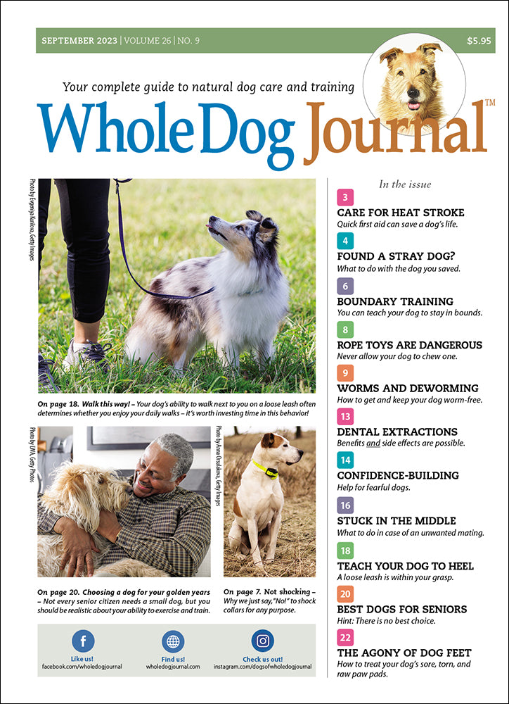 Whole Dog Journal