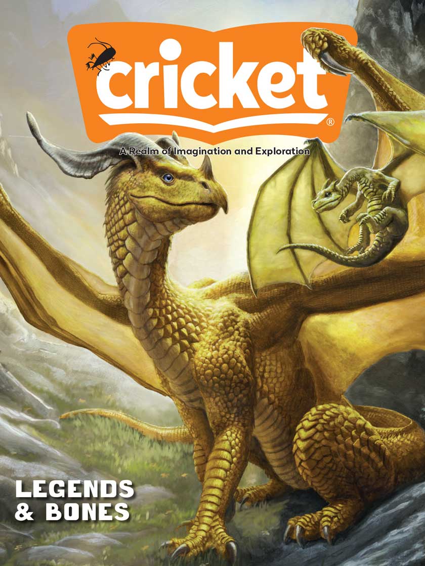 Cricket