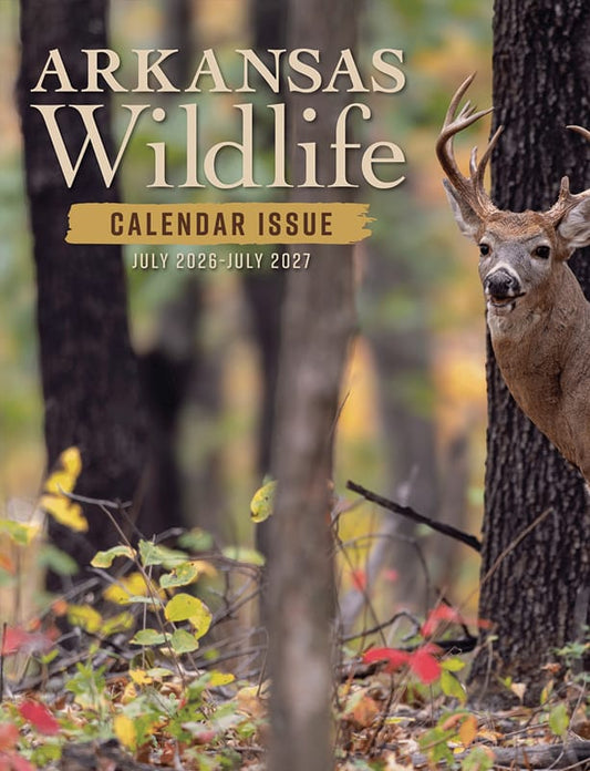 Arkansas Wildlife