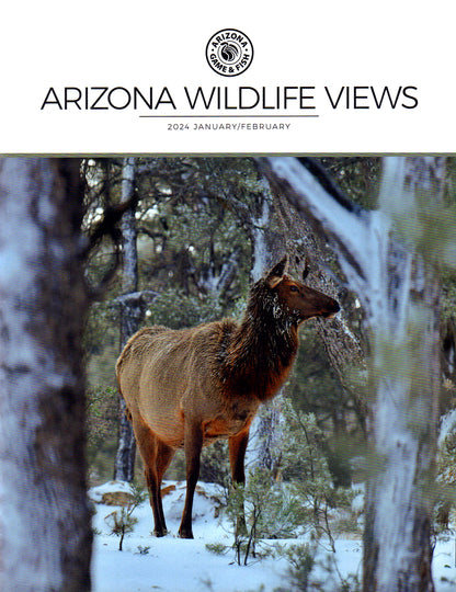 Arizona Wildlife Views