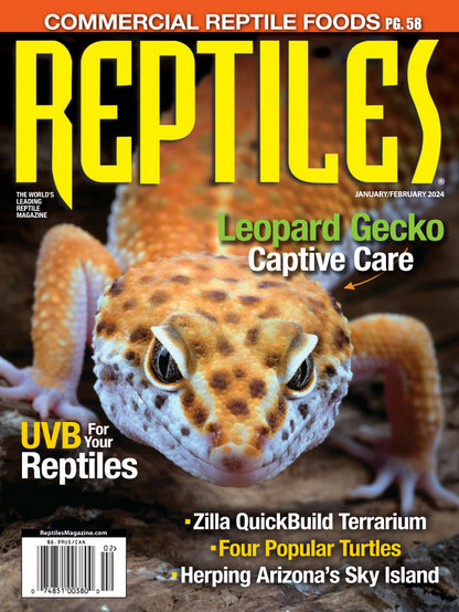 Reptiles Magazine