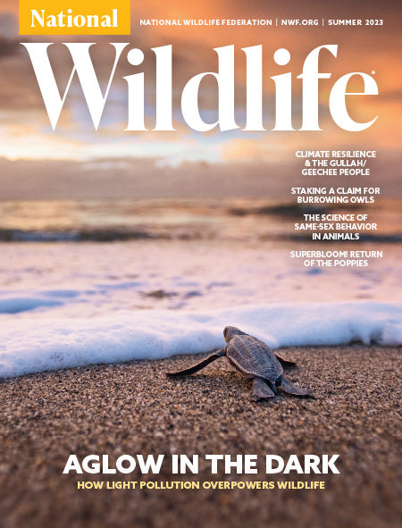 National Wildlife Magazine