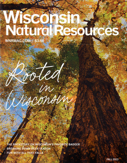 Wisconsin Natural Resources