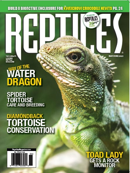 Reptiles Magazine