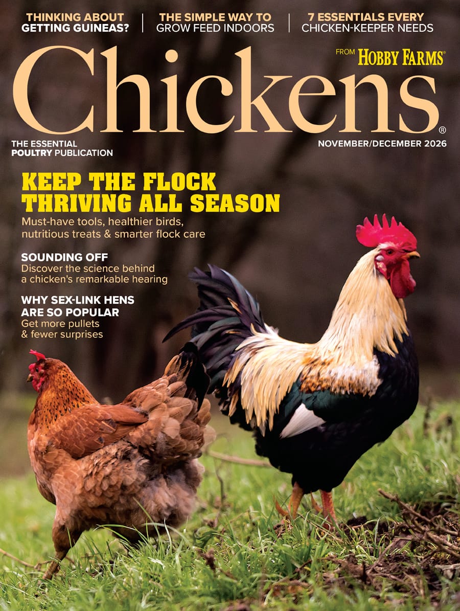 Chickens Magazine