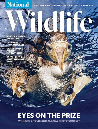 National Wildlife Magazine