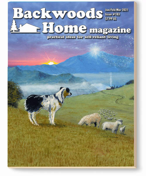 Backwoods Home | Total Magazines