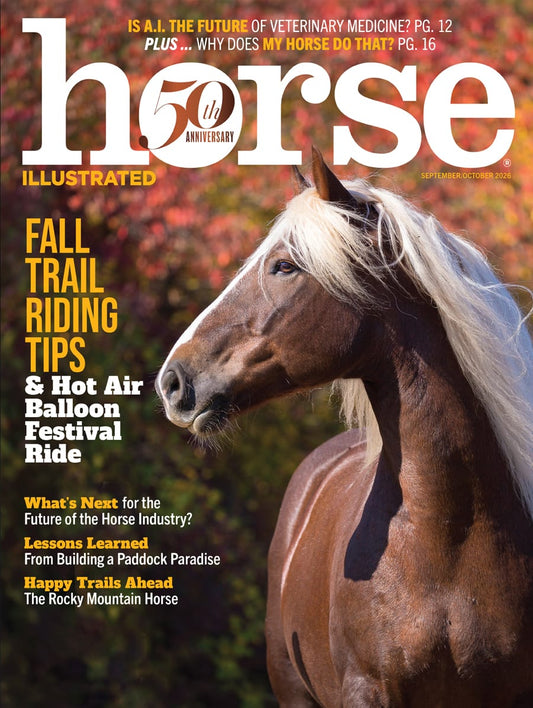 Horse Illustrated