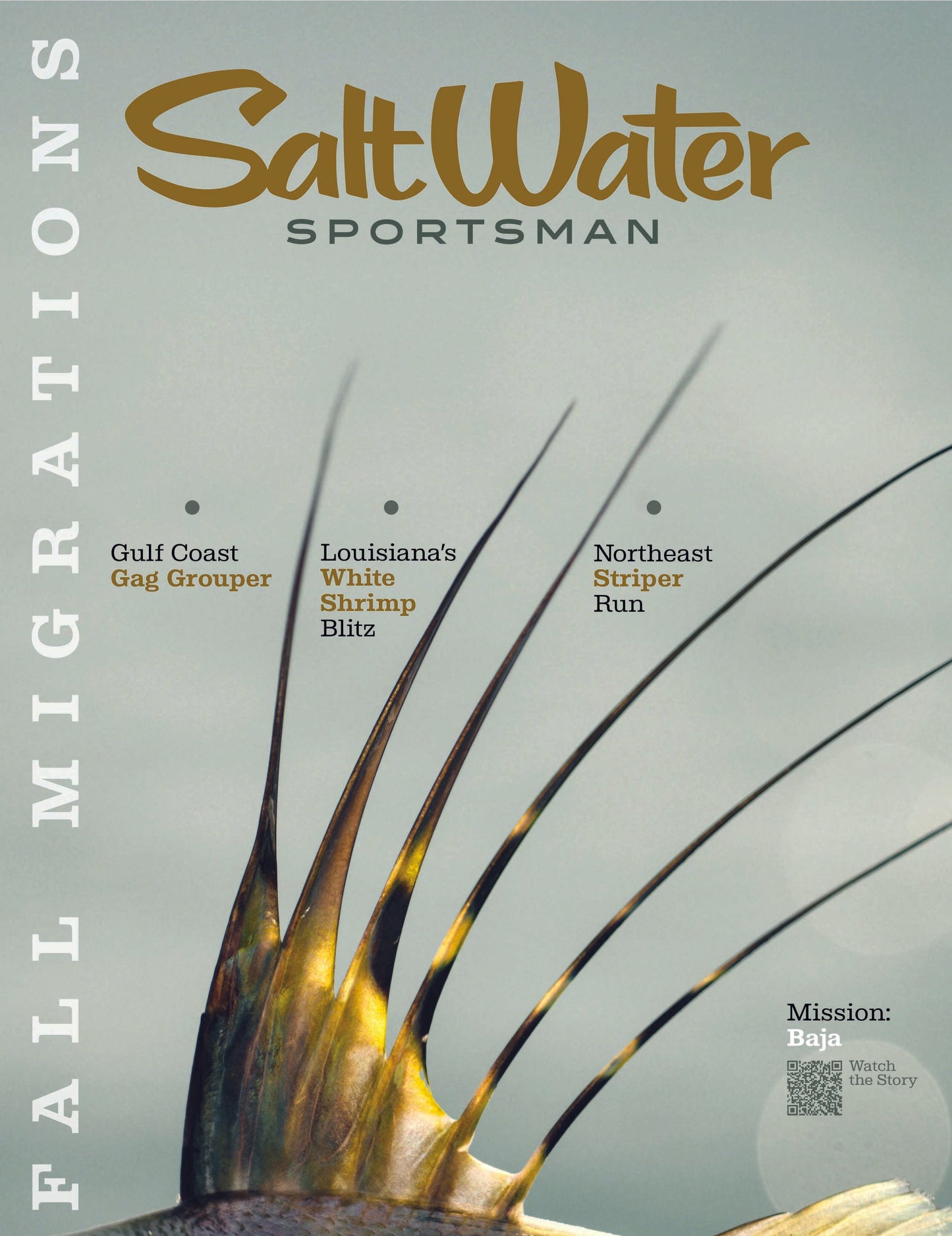 Saltwater Sportsman