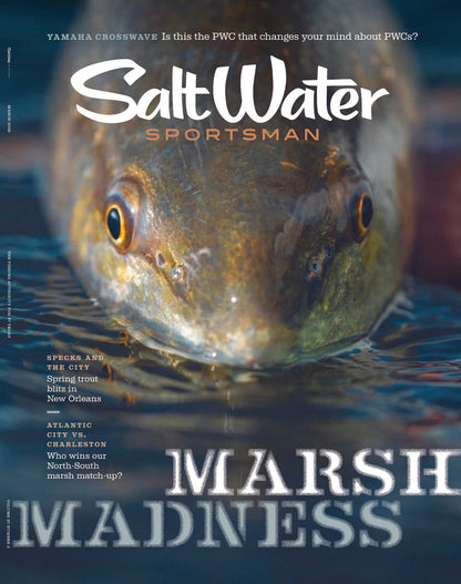 Saltwater Sportsman