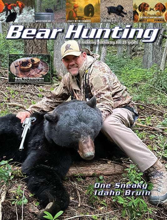Bear Hunting