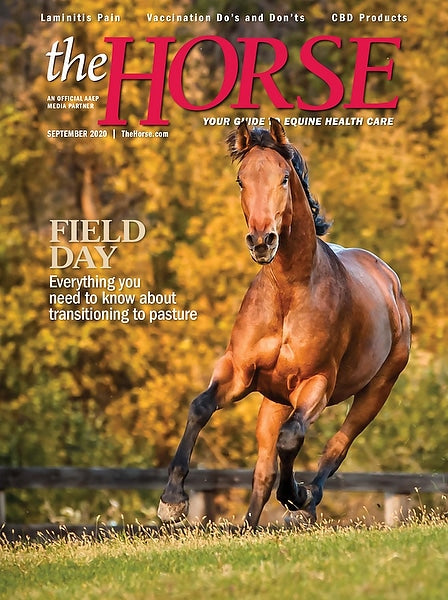 The Horse | Total Magazines