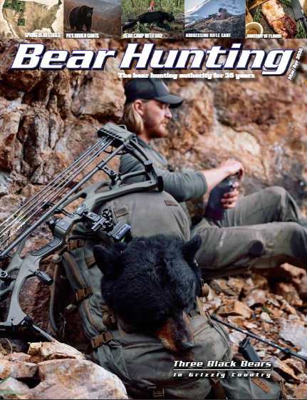 Bear Hunting