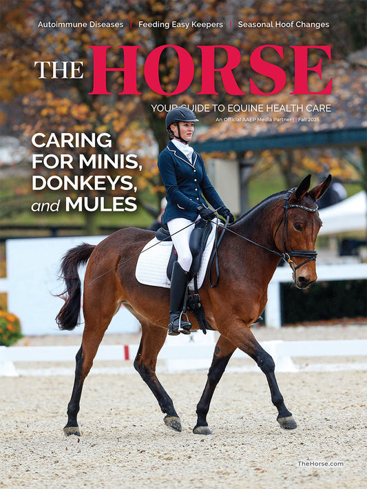 The Horse