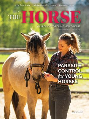 The Horse