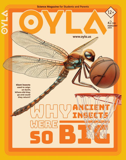 OYLA Magazine