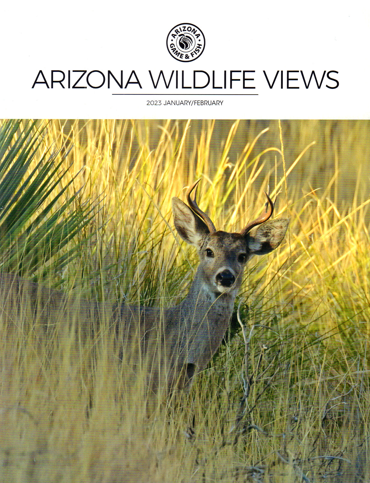 Arizona Wildlife Views