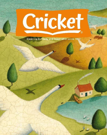 Cricket