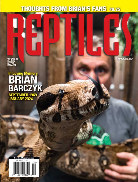 Reptiles Magazine