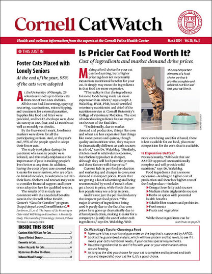 CatWatch Newsletter