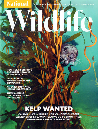 National Wildlife Magazine