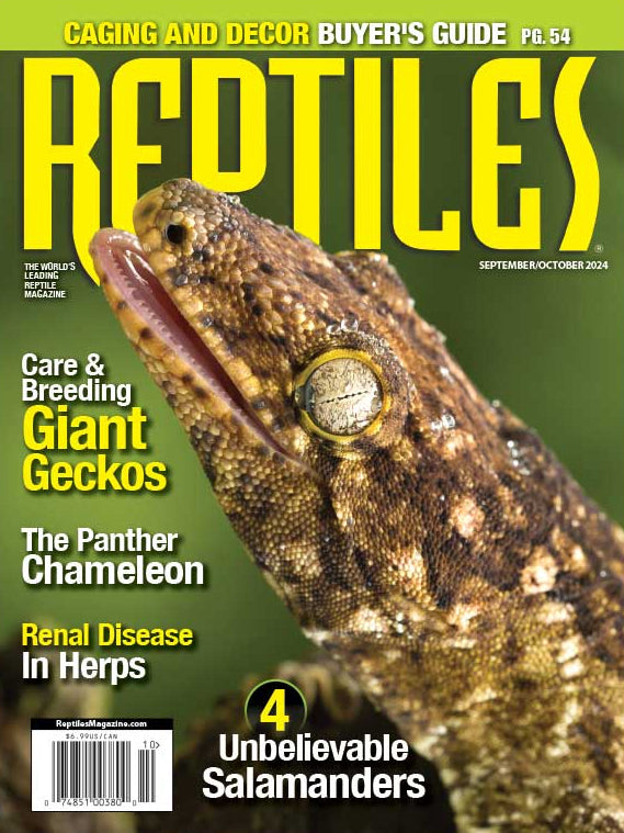 Reptiles Magazine